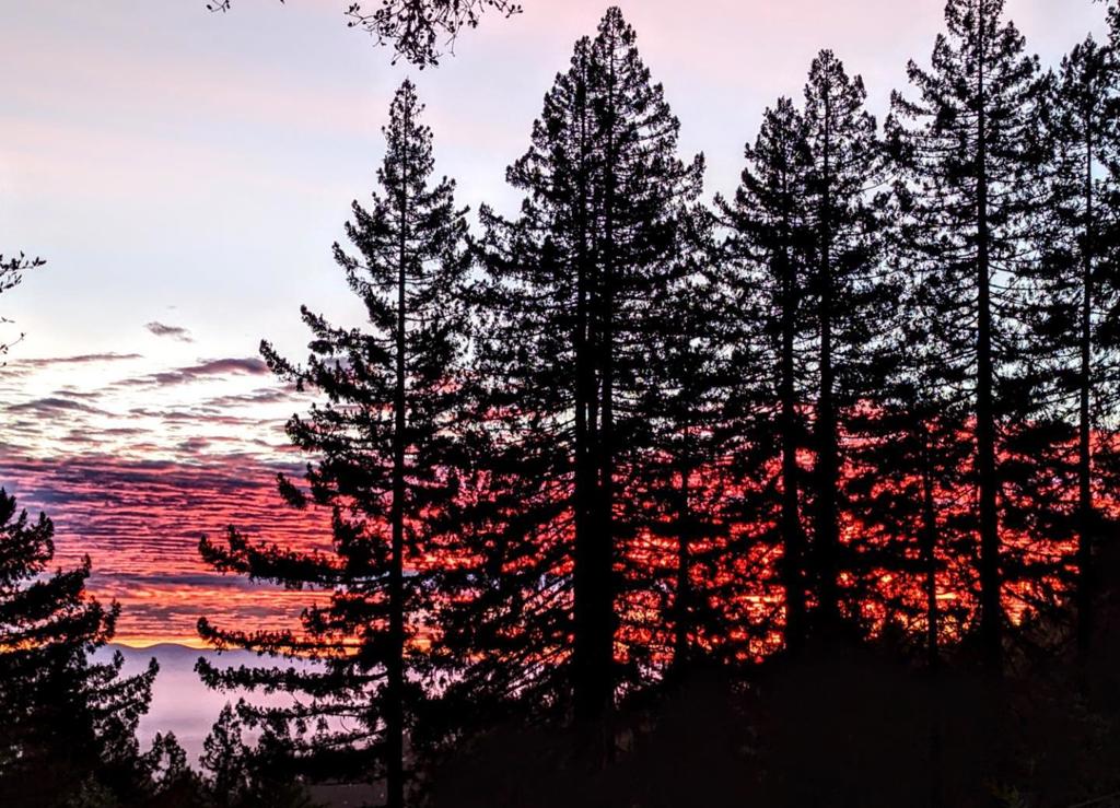 https://media.crmls.org/mediaz/cd673bab-1379-48ee-a43c-61ebc7792c32.jpg?preset=X-Large