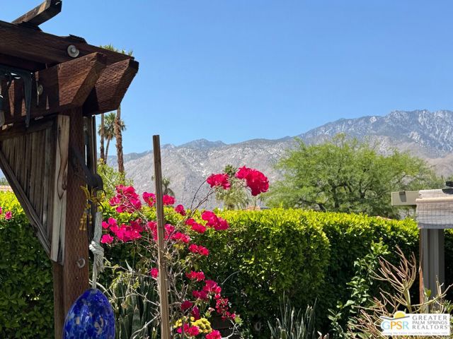 1533 N Sunflower Court, Palm Springs CA: https://media.crmls.org/mediaz/cd6cac6f-e389-47a9-a6d2-d46608c63bb3.jpg