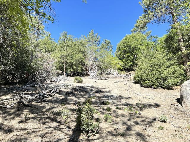 0 Mountain View, Idyllwild CA: https://media.crmls.org/mediaz/cd6df719-48f3-4b22-894d-f7d825880059.jpg