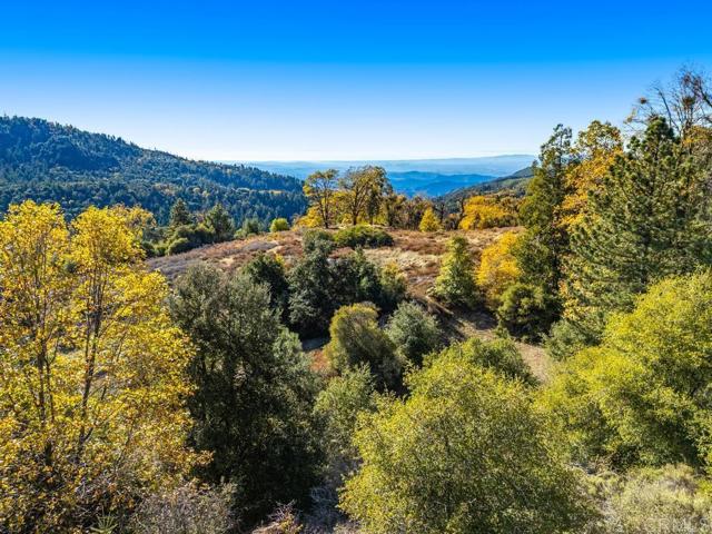Detail Gallery Image 26 of 33 For 0 State Park Rd, Palomar Mountain,  CA 92060 - – Beds | – Baths