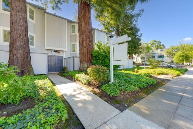 159 Centre Street, Mountain View CA: https://media.crmls.org/mediaz/cd75abab-860e-466e-afa2-9813662b9ec3.jpg