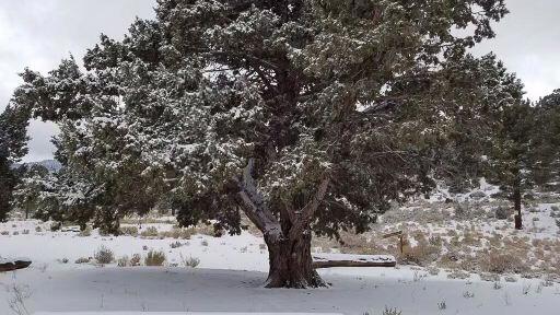 550 Eagle Ridge, Big Bear CA: https://media.crmls.org/mediaz/cd935803-e582-4720-947f-f5969ee385c0.jpg