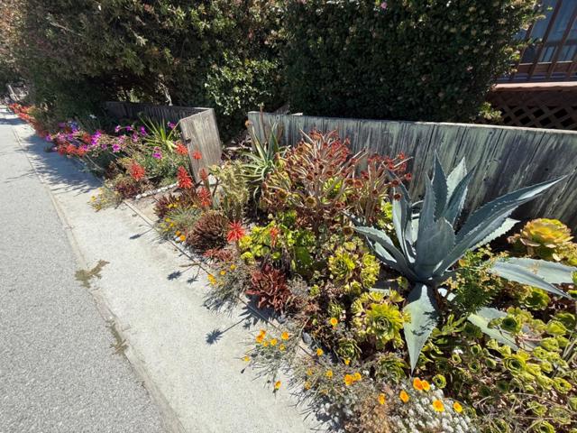 159 Port Royal Avenue, Foster City CA: https://media.crmls.org/mediaz/cd96cda7-2dd3-4184-8b74-c928cc05ca0e.jpg