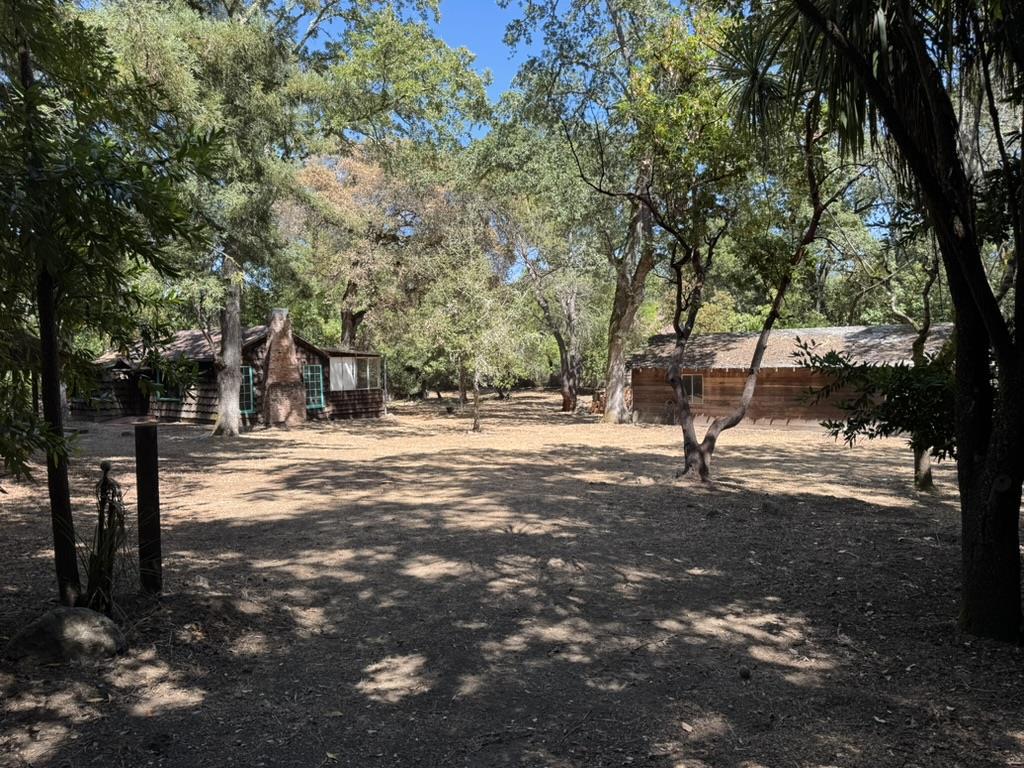 245 Bonita Road