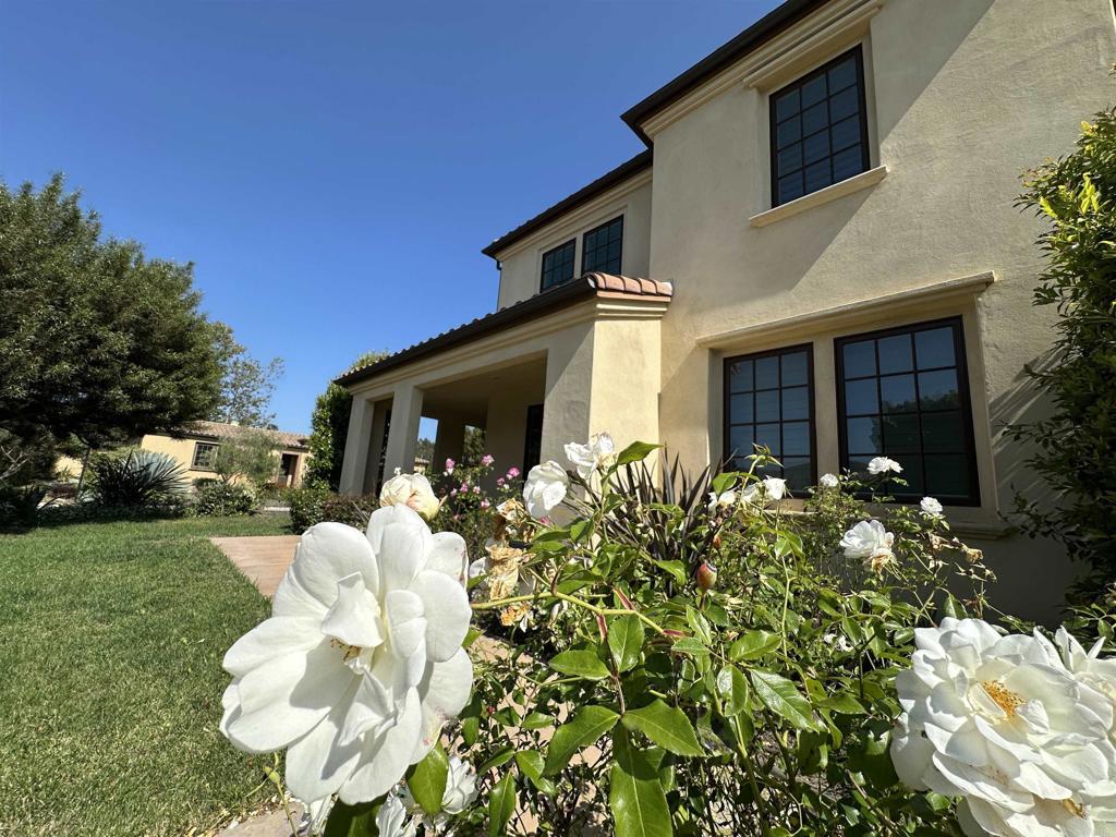 16210 Bluestar Way