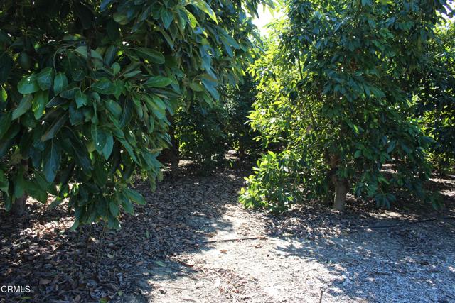 Detail Gallery Image 6 of 41 For 1550 Santa Paula St, Fillmore,  CA 93015 - 3 Beds | 1 Baths