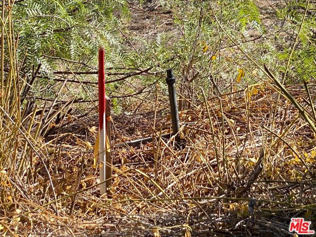 0 Mount Prospect/Topanga Skyline Drive photo 22