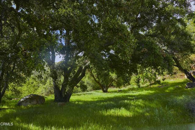 Detail Gallery Image 40 of 43 For 12179 Koenigstein Rd, Ojai,  CA 93023 - 4 Beds | 3 Baths