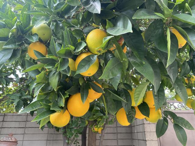 Detail Gallery Image 26 of 34 For 9212 Creemore Dr, La Crescenta,  CA 91214 - 3 Beds | 3 Baths