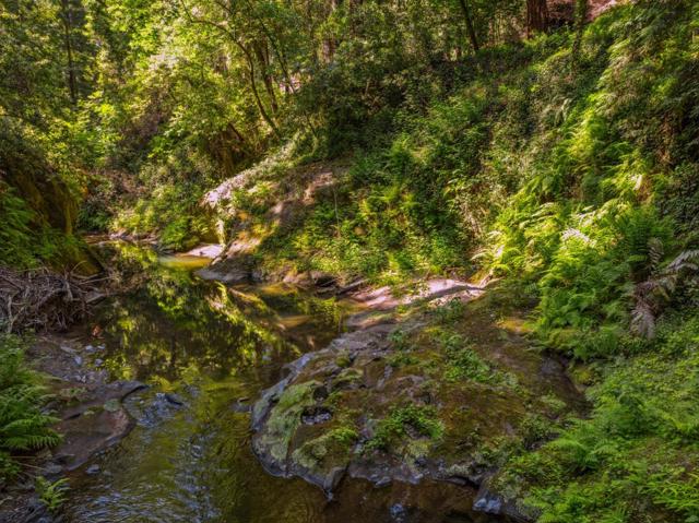 0 Highway 9, Boulder Creek CA: https://media.crmls.org/mediaz/cdbdf037-4cb2-4681-aee0-2ddc4a18c3d8.jpg