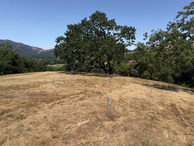 23 E Pronghorn Run, Carmel CA: https://media.crmls.org/mediaz/cdc21da3-7cf4-463b-ba68-a0f708409950.jpg