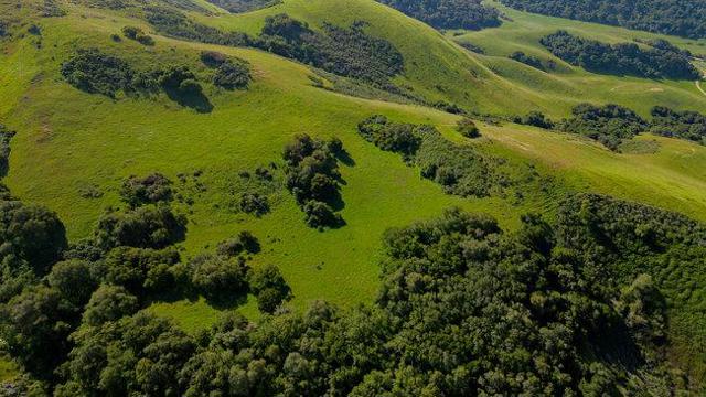 100 Old Stage Rd, San Juan Bautista CA: https://media.crmls.org/mediaz/cdcf698c-85d3-4920-b733-ef9ac69957aa.jpg