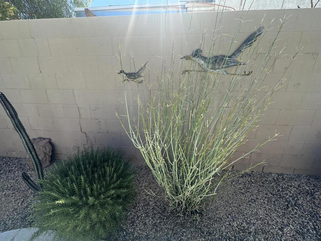 MLS #219127583DA image #30