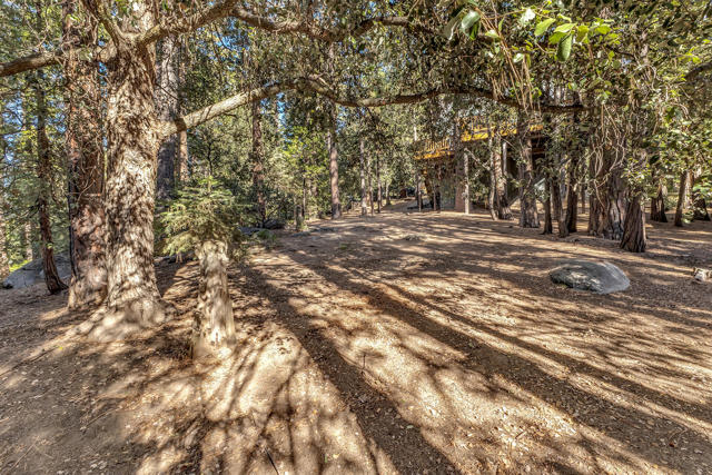 52402 Pine Ridge Road, Idyllwild CA: https://media.crmls.org/mediaz/cde3d579-0f20-42eb-ac2e-f359579b96c2.jpg