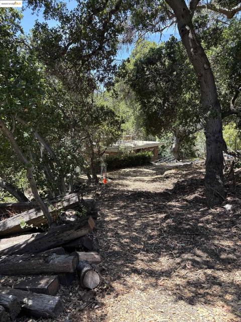 5415 Leona Street, Oakland CA: https://media.crmls.org/mediaz/cde67958-7e41-488c-acf1-8fbef3f4b13c.jpg