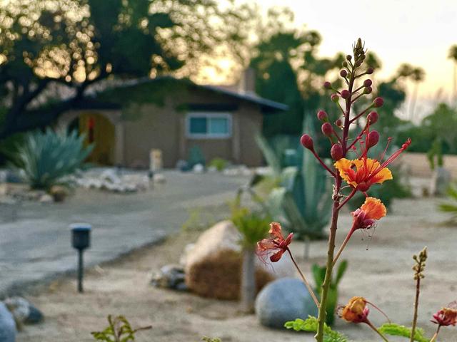 Detail Gallery Image 4 of 26 For 1471 De Anza Dr, Borrego Springs,  CA 92004 - 2 Beds | 2 Baths