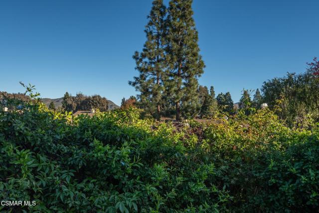 268 Novina Place, Camarillo CA: https://media.crmls.org/mediaz/cdebc496-a487-4ae7-9af3-fbbdce761d48.jpg