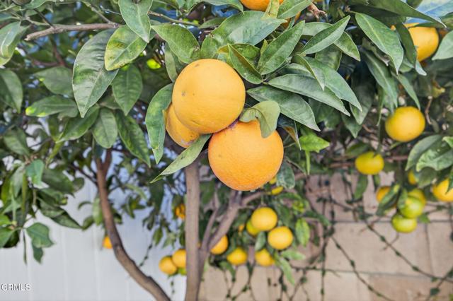 Detail Gallery Image 29 of 36 For 1327 Johnson Dr, Ventura,  CA 93003 - 3 Beds | 2/1 Baths