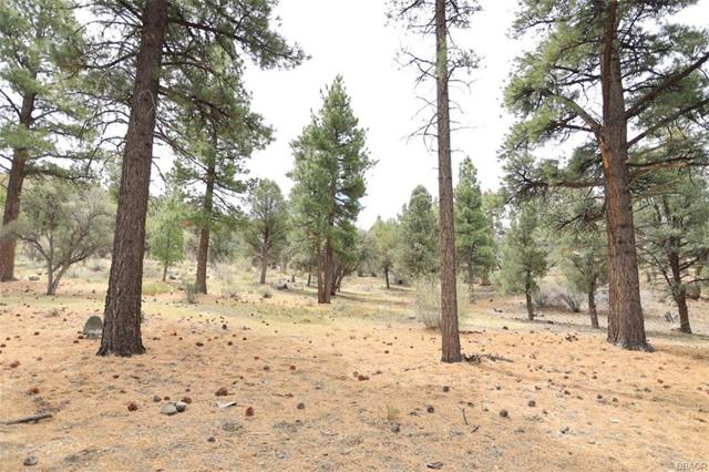 2324 Manzanita Lane, Big Bear CA: https://media.crmls.org/mediaz/ce018cc5-cd4a-43ac-817e-5eeb3fafeac7.jpg