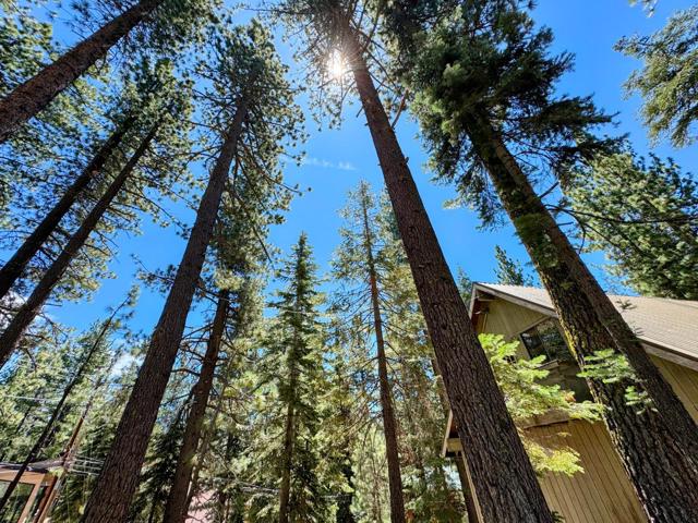 50858 Red Fir Terrace, Soda Springs CA: https://media.crmls.org/mediaz/ce05482d-493e-4eb7-9be9-550f2133a7f9.jpg