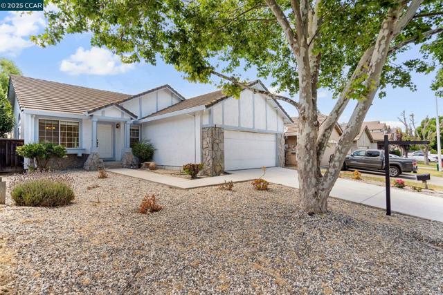 1929 Johnson Dr, Antioch CA: https://media.crmls.org/mediaz/ce090a56-ed98-4ec8-9b37-a93db3b21598.jpg