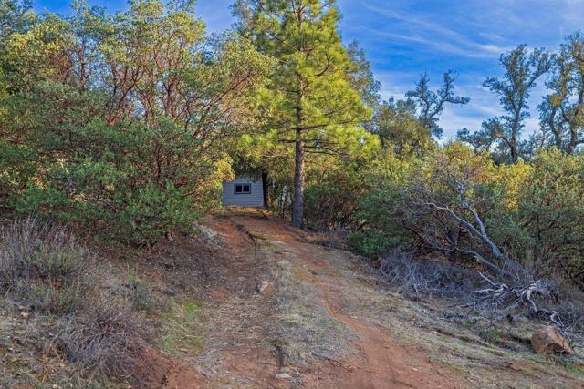 Driveway to Guest House