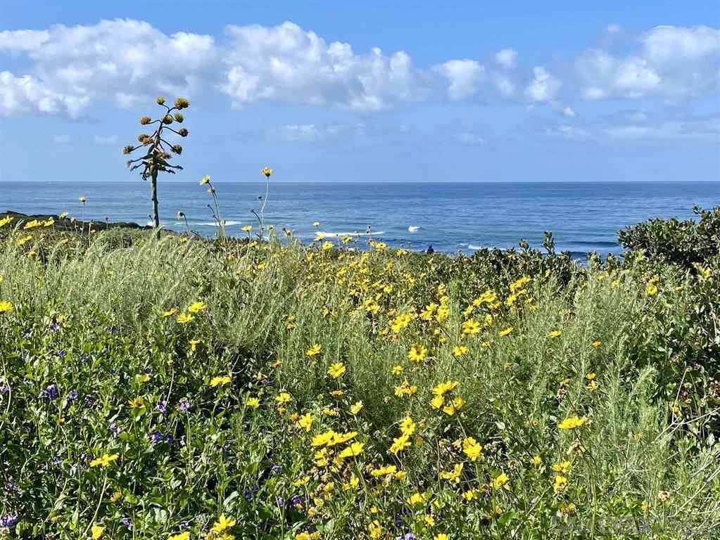 MLS #250043109SD image #61