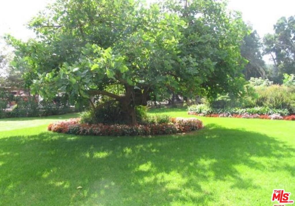 https://media.crmls.org/mediaz/ce16f419-37d0-4bd4-9f53-bbcf8215a8c0.jpg?preset=X-Large