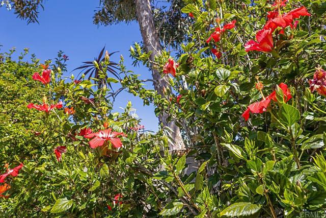 Detail Gallery Image 34 of 34 For 11123 Pisces Way, San Diego,  CA 92126 - 4 Beds | 2 Baths