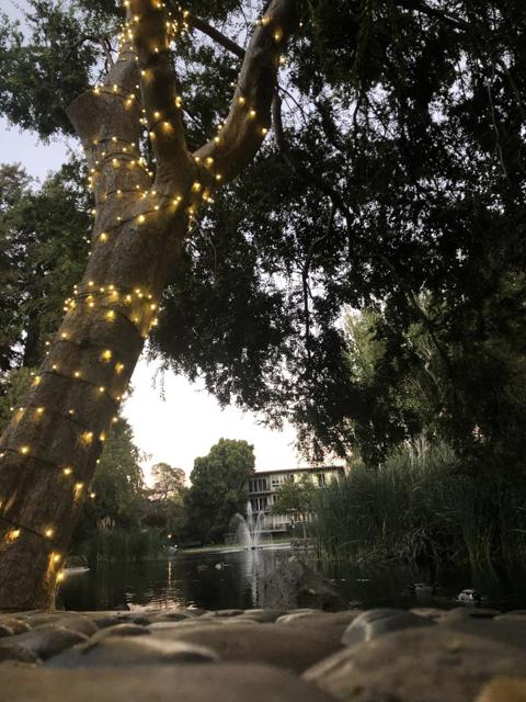 940 Peninsula Avenue, San Mateo CA: https://media.crmls.org/mediaz/ce1f24d1-5888-462a-933a-482fe290d69e.jpg