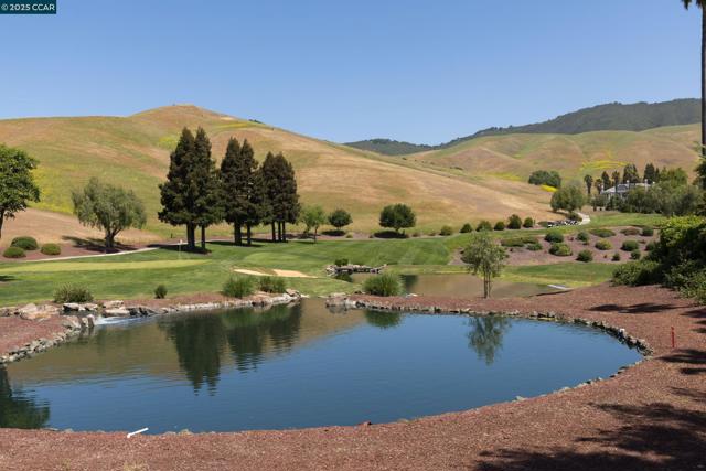 5427 Blackhawk Dr, Danville CA: https://media.crmls.org/mediaz/ce254e6a-7a1e-48aa-a9c7-29707c798c07.jpg
