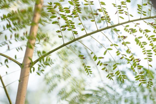 Detail Gallery Image 45 of 48 For 12604 Carmel Country Rd #17,  San Diego,  CA 92130 - 2 Beds | 2/1 Baths