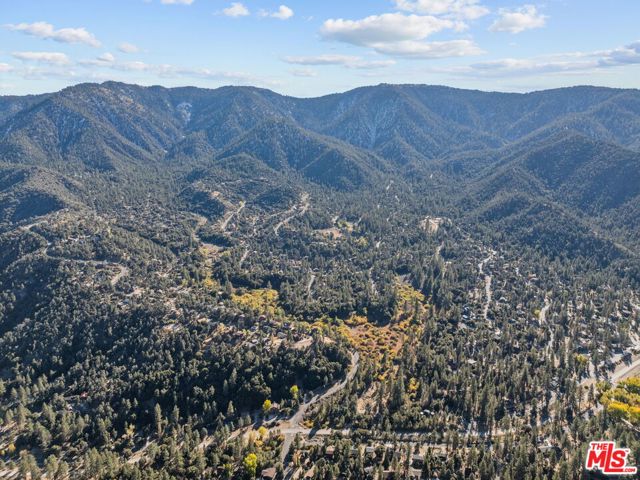 2222 Gimmewald Place, Pine Mountain Club CA: https://media.crmls.org/mediaz/ce29d3dc-161d-4c45-88aa-bd3ab3277b6f.jpg