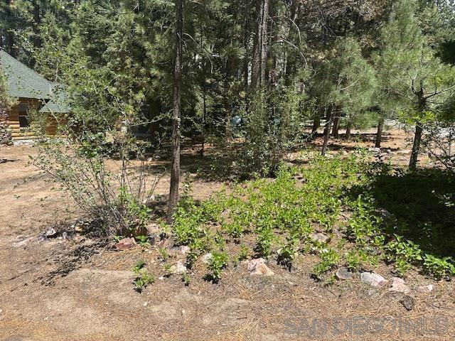 535 W Rainbow Blvd, Big Bear CA: https://media.crmls.org/mediaz/ce33e756-f918-4f5e-a892-0774b6b836fd.jpg