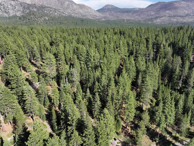 881 Onnontioga Street, South Lake Tahoe CA: https://media.crmls.org/mediaz/ce3570e9-d32c-4b0b-bc67-abf4ab93c115.jpg