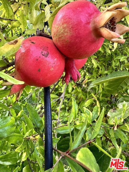 1625 18th Street, Manhattan Beach, California 90266, 4 Bedrooms Bedrooms, ,5 BathroomsBathrooms,Residential,For Sale,18th,26655945