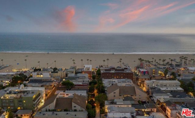 58 Paloma Avenue, Venice CA: https://media.crmls.org/mediaz/ce437753-1d38-4fa9-8bfc-09c46265fa88.jpg