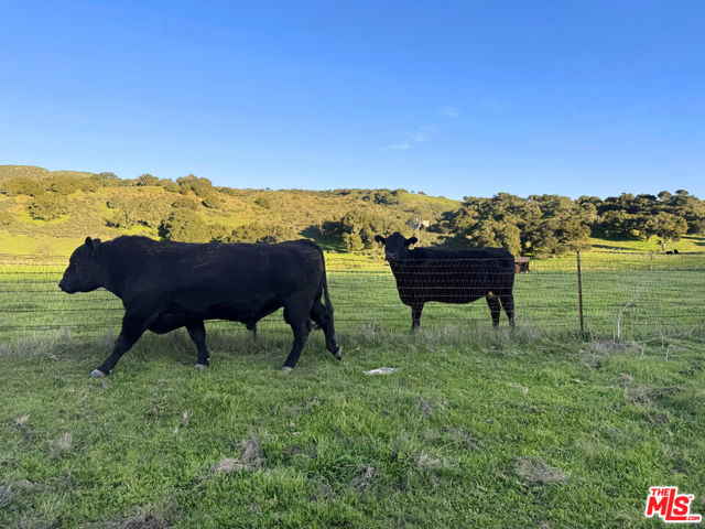 Image 15 of 33 For 1701 Hwy 246