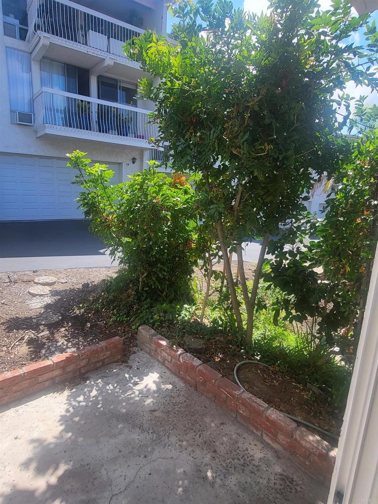 2319 Caringa Way - photo 20