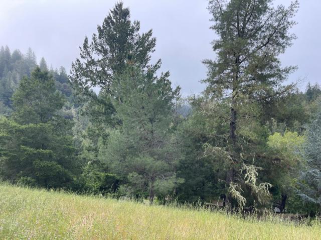 450 Hawk Ridge Road, Boulder Creek CA: https://media.crmls.org/mediaz/ce51a41c-4389-4963-bd67-737dd33b814e.jpg