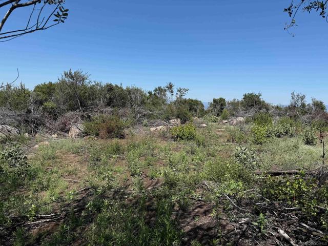 17441 Dos Picos Park Road, Ramona CA: https://media.crmls.org/mediaz/ce572eb3-78f7-424d-be6f-04923a9d4abb.jpg