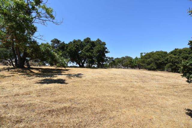 0 Alexander Lane, San Juan Bautista CA: https://media.crmls.org/mediaz/ce681656-2bde-48dc-ab0f-6e558ac1571d.jpg
