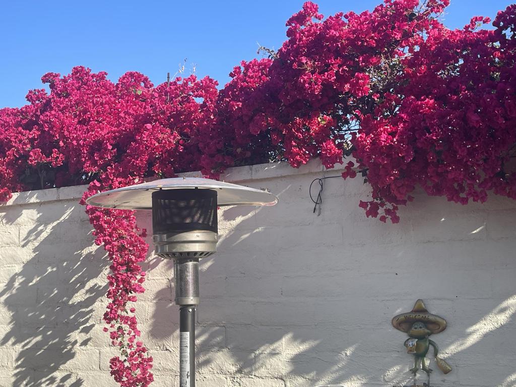 MLS #219132776DA image #6