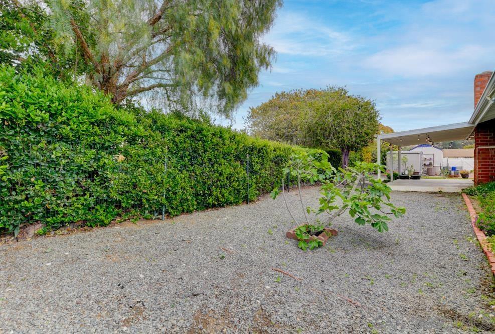 12415 Horado Road - photo 15