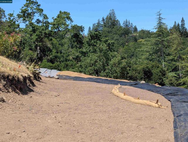 13 St. James Ct., Orinda CA: https://media.crmls.org/mediaz/ce717a3a-266d-4796-b4a0-50456031e517.jpg