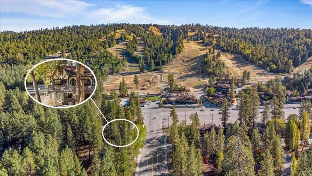 41896 Switzerland Drive #1, Big Bear, CA 92315