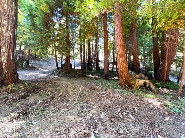 0 E Hilton, Boulder Creek CA: https://media.crmls.org/mediaz/ce7e6d70-a9cd-4d08-924e-dd505ed8169e.jpg