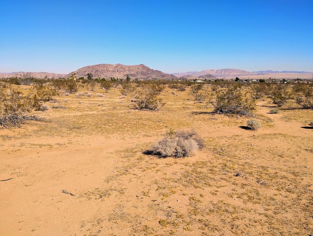 MLS #219138097DA image #3