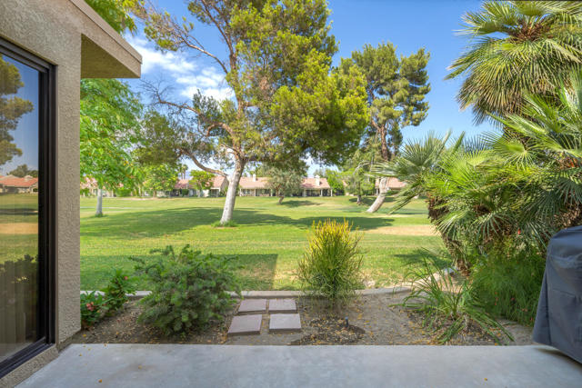 View from patio