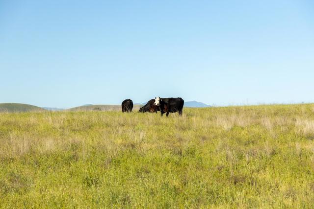 54800 Lonoak Road, King City CA: https://media.crmls.org/mediaz/ce964312-38c8-4402-ae10-f04037c4de24.jpg